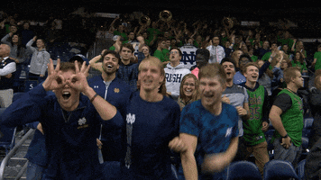 Basketball GIF