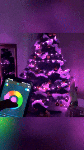 Animated GIF