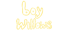 House Sticker by Boy Willows