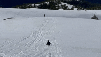 Renanza Realty Inc GIF