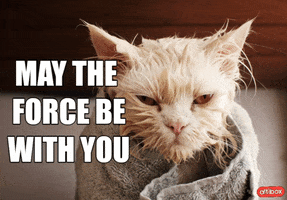 May The Fourth Be With You Star Wars GIF by Altibox