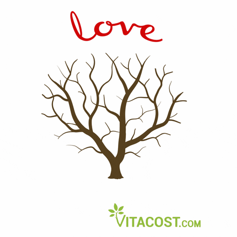tree love GIF by Vitacost