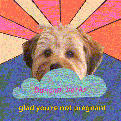 Duncan Barks GIF
