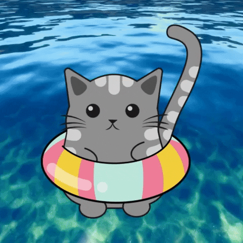Ascuba Venture GIF