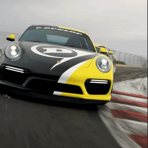 Racing Race GIF by Dunlop Tire NA
