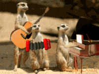Darwaza Band Karo GIFs - Get the best GIF on GIPHY