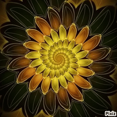 Pixiz GIF