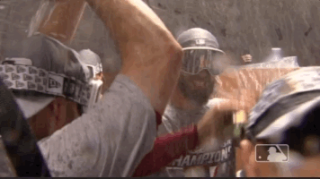 head champagne GIF by MLB