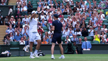 high five tommy haas GIF by Wimbledon