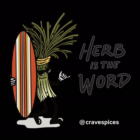 Crave Spices GIF