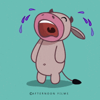 Cow Love GIF by Afternoon films
