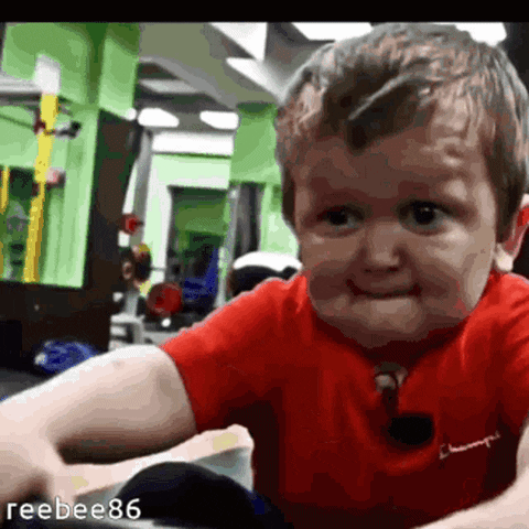 https://media0.giphy.com/media/vhr61UfVVhkLbRzxcM/giphy.gif?cid=28f76e61cleegj56kva6245sqgtpbb13cusbme3huzk5lhxz&rid=giphy.gif&ct=g