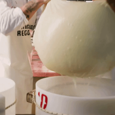 Cheese Milk GIF by Parmigiano Reggiano