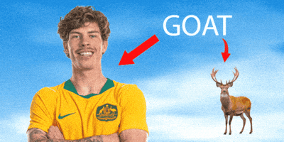 Socceroos GIF