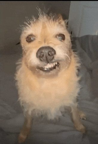 Watches GIF