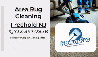 Area Rug Cleaning Freehold Nj GIF