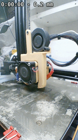 Timelapse GIF