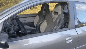 206 GIF