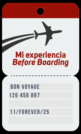 Before Boarding GIF