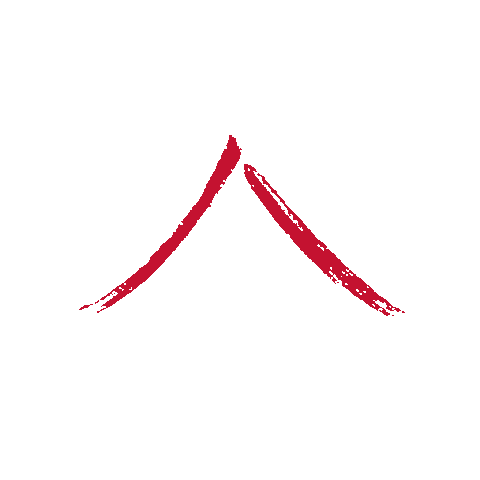 Areaa Areaaindc Areaanational Sticker by AREAA