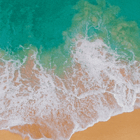 Happy World Ocean Day Gifs Get The Best Gif On Giphy Happy World Ocean Day Gifs Get The Best Gif On Giphy