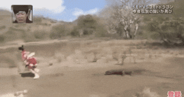 saori japanese japanese tv japanese anime imoto GIF