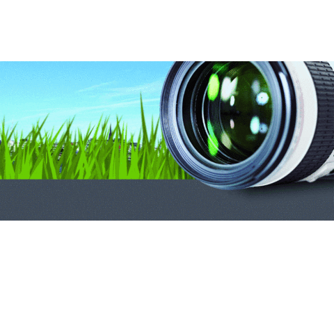 Foto-Assekuranz Sticker