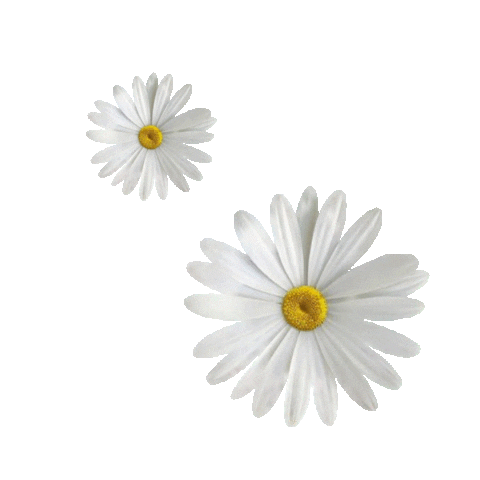 Alex Sanchez Sticker