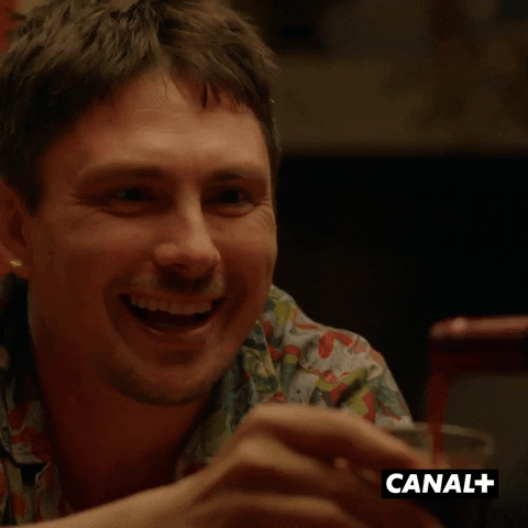 Drunk Humour GIF by CANAL+
