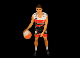 Serie B Pallacanestro GIF by Olimpo Basket Alba