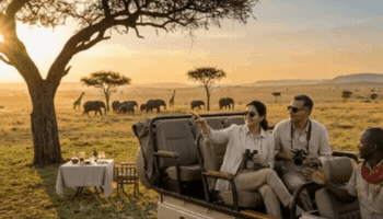 India GIF