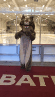 Knock Out Bobcat GIF by Bates College Alumni