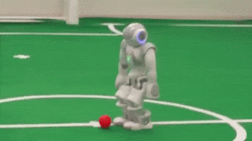 Soccer Fail GIF by College of Natural Sciences, UT Austin