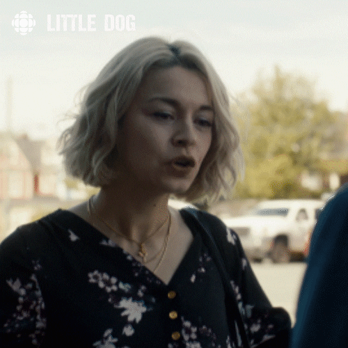 little dog money GIF by CBC
