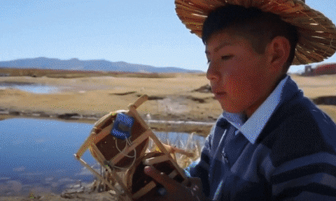 Animated GIF - Find & Share on GIPHY