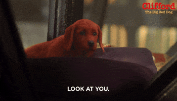 GIF by Clifford Movie