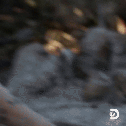 Happy Naked And Afraid GIF by Discovery