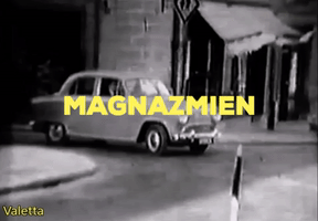 Magna Zmien GIF