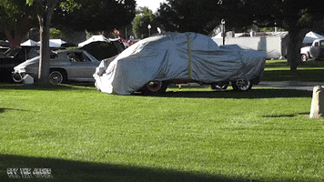 classic cars old car GIF by Off The Jacks