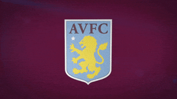Premier League Football GIF by Aston Villa FC