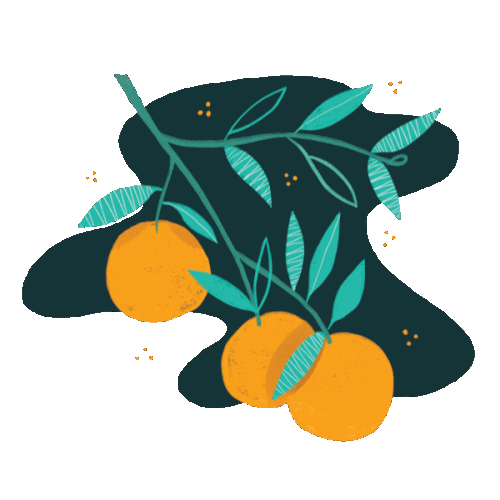 Summer Illustration Sticker