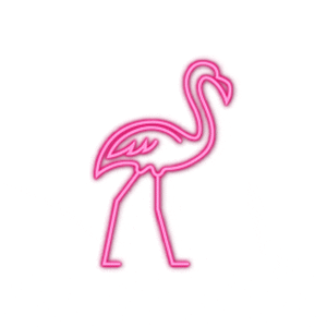 flamingo GIF by Pink Box