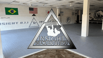 Renzo Gracie Jiu Jitsu GIF by Insight BJJ