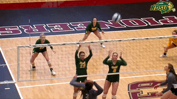 volleyball block GIF by NDSU Athletics