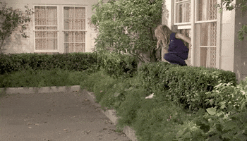 Be Positive Reaction GIF by CBS