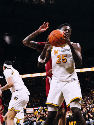 March Madness Basketball GIF by Mizzou Athletics