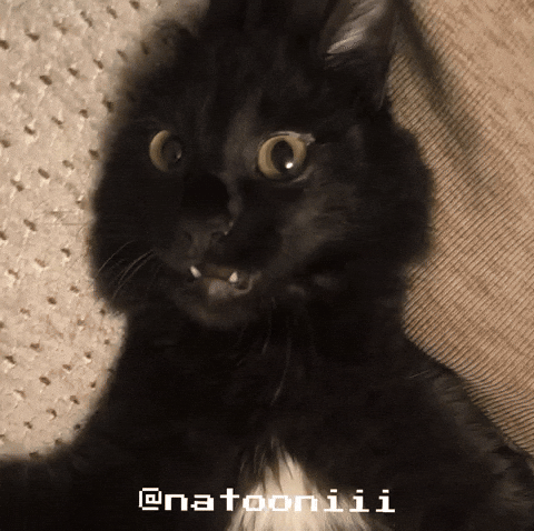 Natooniii GIF