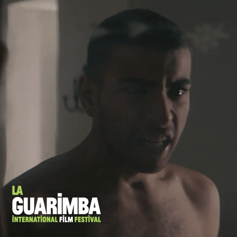 Angry Fight GIF by La Guarimba Film Festival