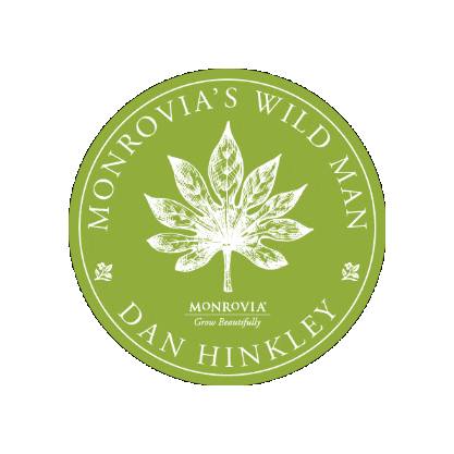 Sticker by monroviaplants