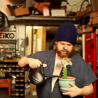 200.gif?cid=fc005b08209e4aa54d2f89d331319727f65696d1c881733b&rid=200.gif&ct=g